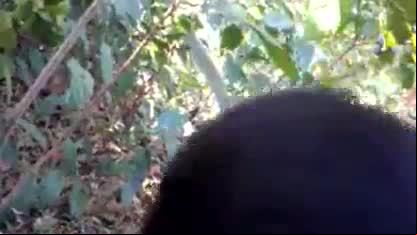 Desi village girl blowjob before sex
